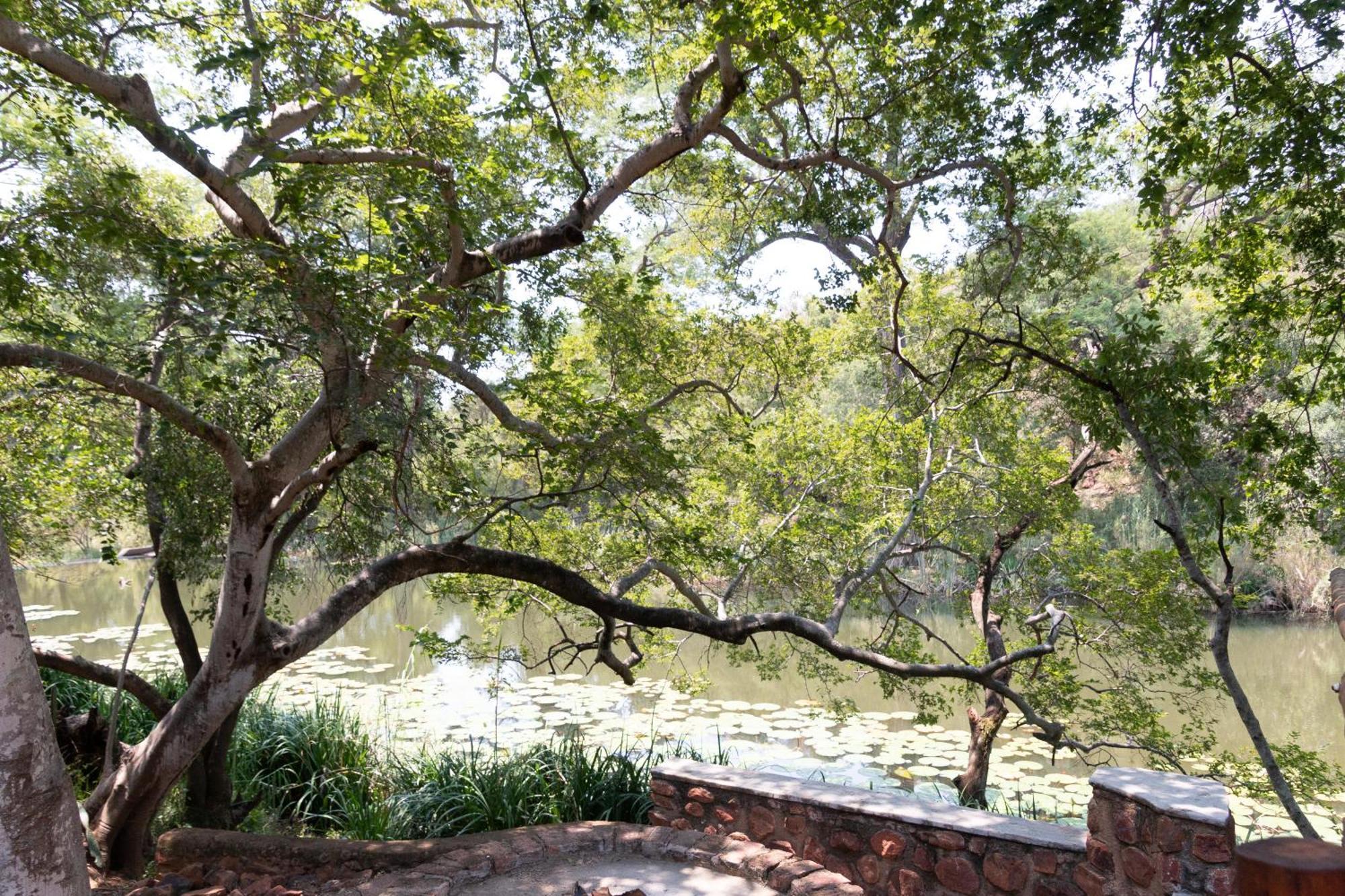 Mologa River Lodge Rust de Winter Luaran gambar