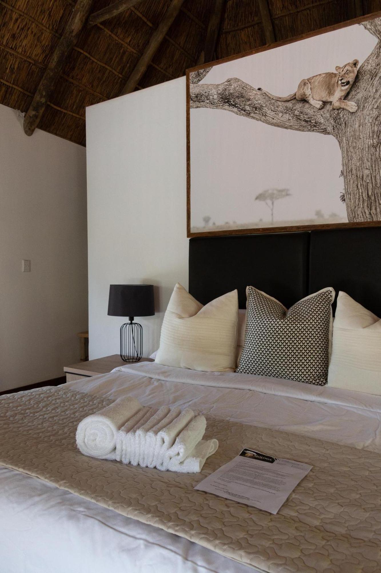 Mologa River Lodge Rust de Winter Luaran gambar