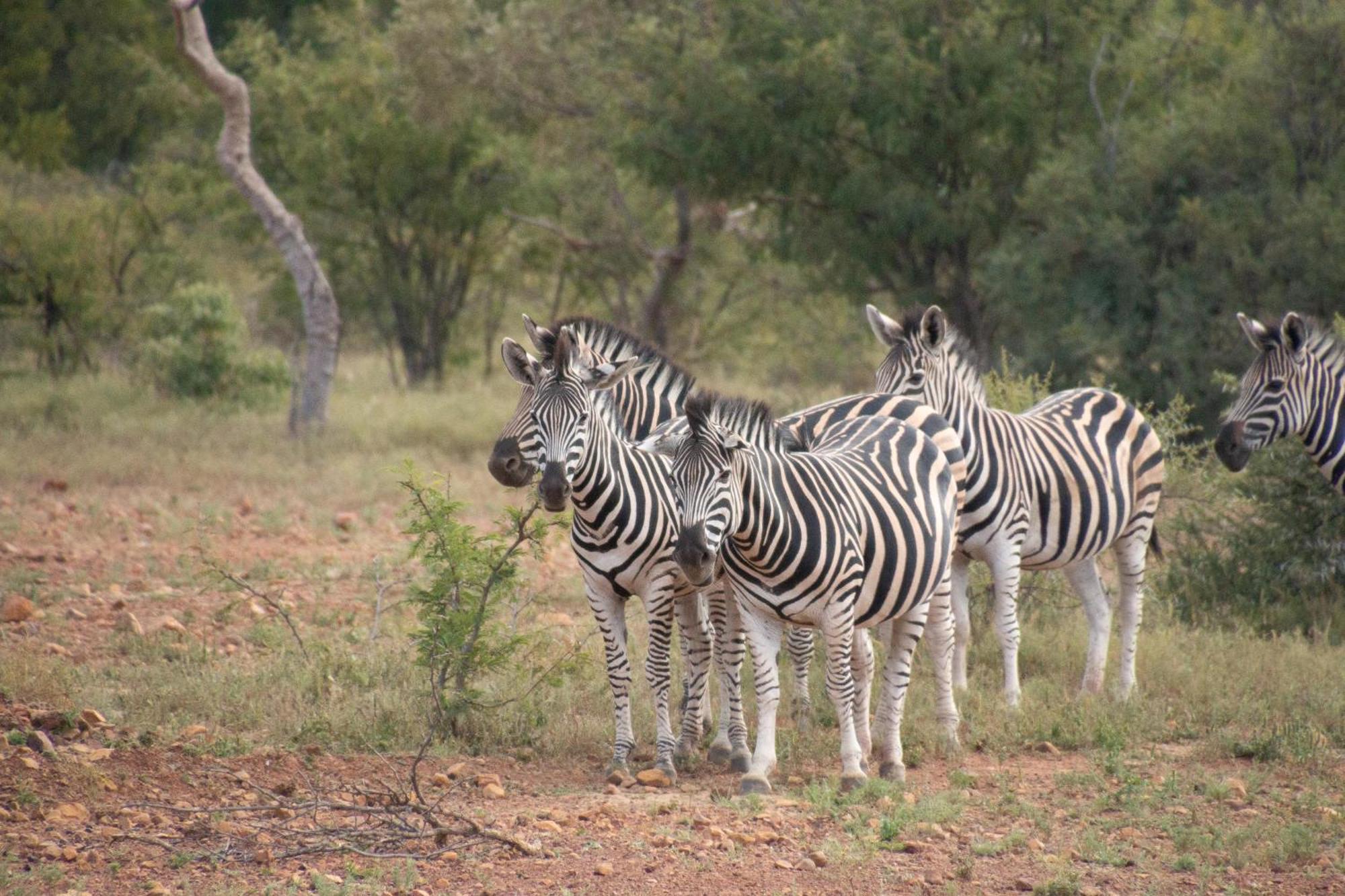 Mologa River Lodge Rust de Winter Luaran gambar
